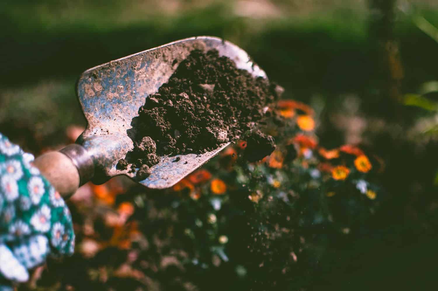 Garden Trowel Garden Trowel